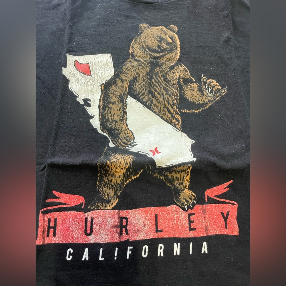 🔥Ts 3/$15 or 5/$20 Hurley Surf California Bear Graphic Tee Ironed Ready to Go!